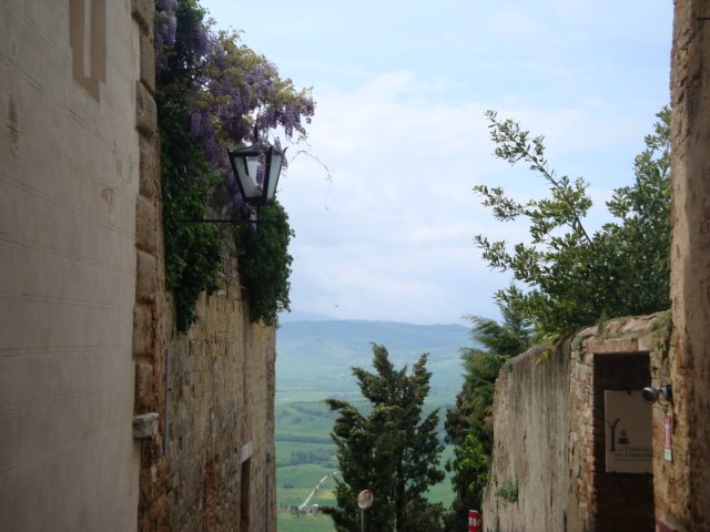 dsc01197.jpg