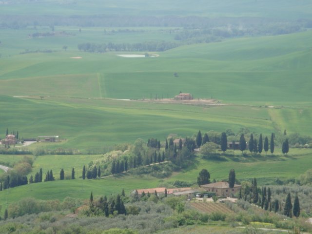dsc01206.jpg