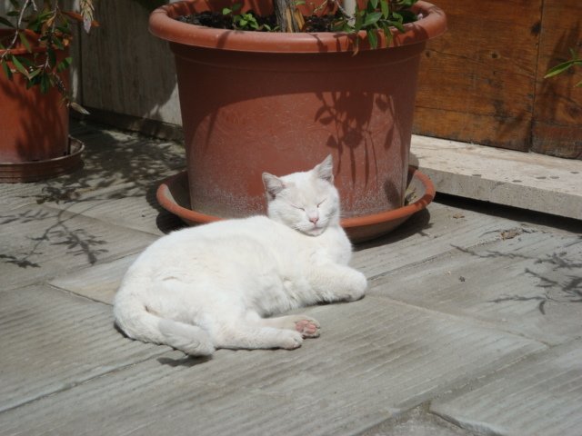dsc01208.jpg