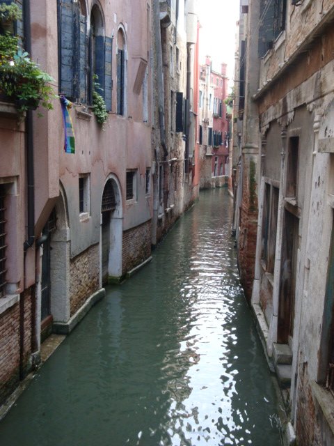 dsc01480.jpg