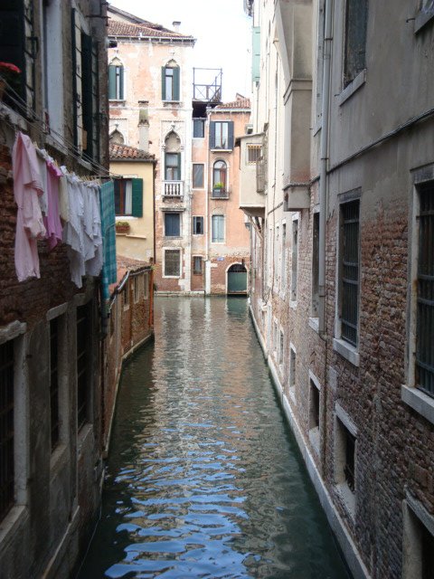 dsc01481.jpg