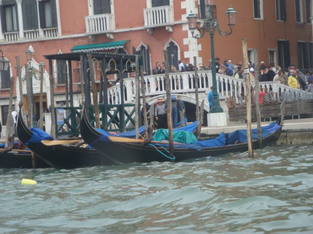 dsc01518.jpg
