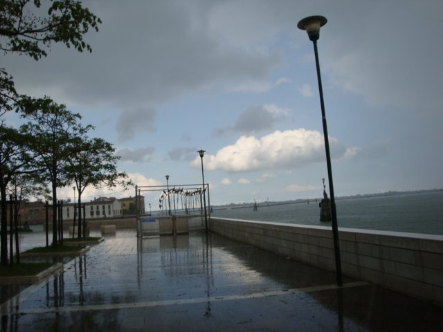 dsc01536.jpg