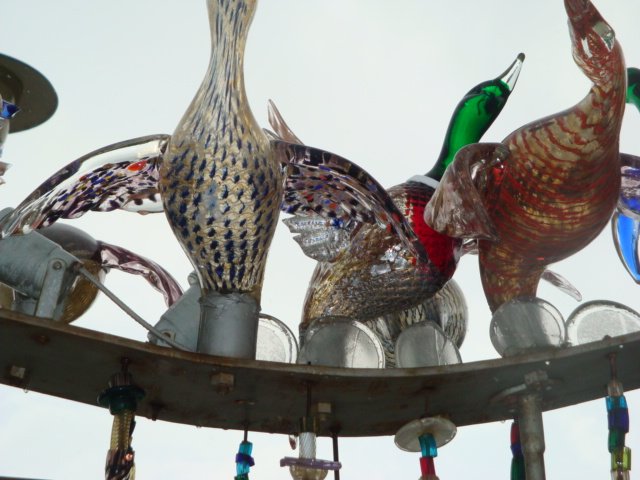 dsc01544.jpg