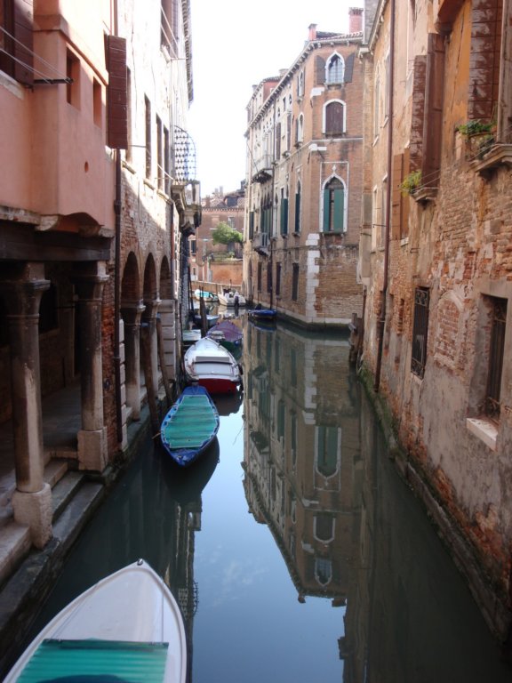 dsc01556.jpg