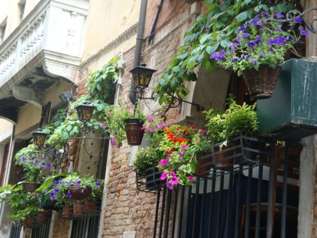 dsc01608.jpg