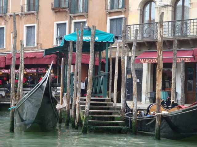 dsc01616.jpg