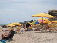 dscf3728_small.jpg