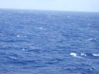 dscf3774_small.jpg