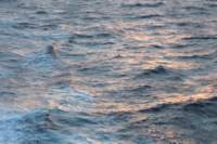 dscf3866_small.jpg