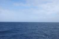 dscf3896_small.jpg