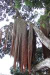 dscf3942_small.jpg