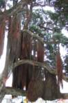 dscf3943_small.jpg