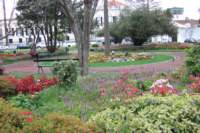 dscf3944_small.jpg