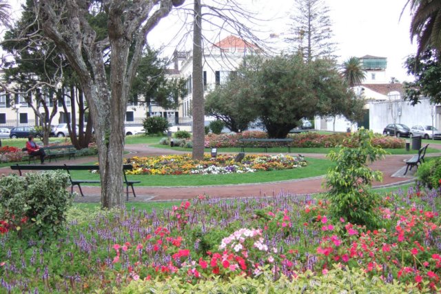 dscf3945.jpg