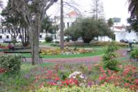 dscf3945_small.jpg