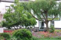 dscf3946_small.jpg
