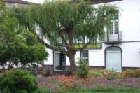 dscf3947_small.jpg