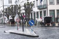 dscf3952_small.jpg