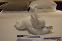 dscf3961_small.jpg