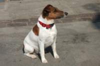 dscf4036_small.jpg