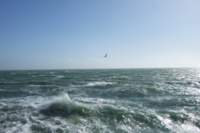 dscf4145_small.jpg