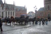 dscf4198_small.jpg