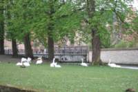 dscf4217_small.jpg